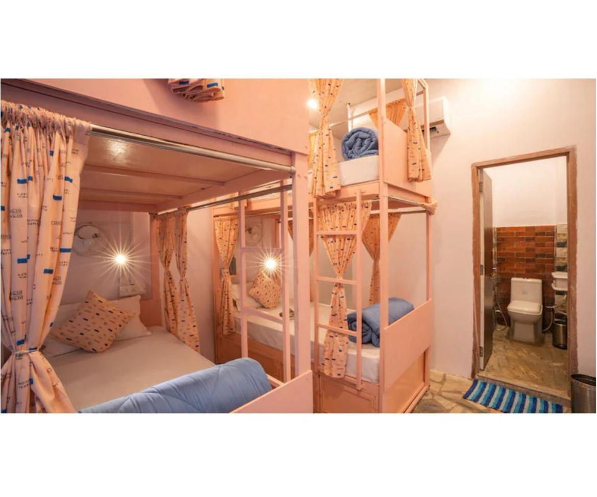 Unplanned Hostel Udaipur Ngoại thất bức ảnh