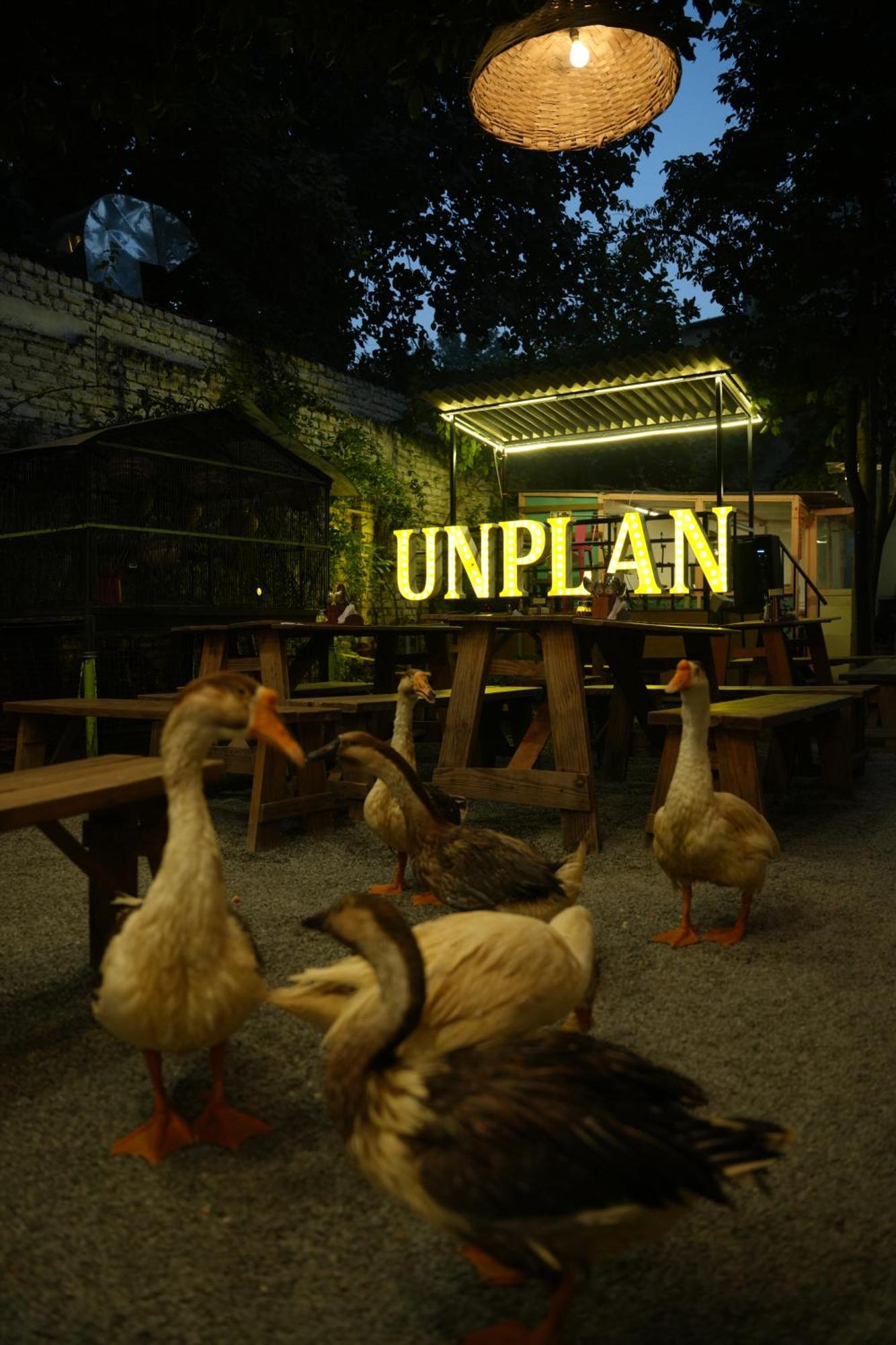 Unplanned Hostel Udaipur Ngoại thất bức ảnh